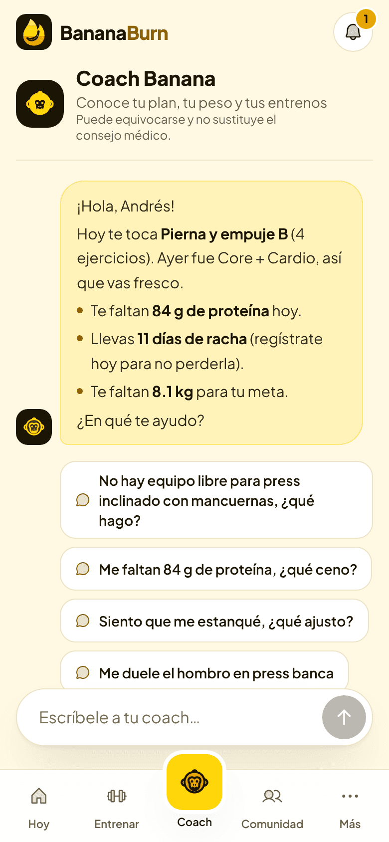 Chat con el Coach Banana