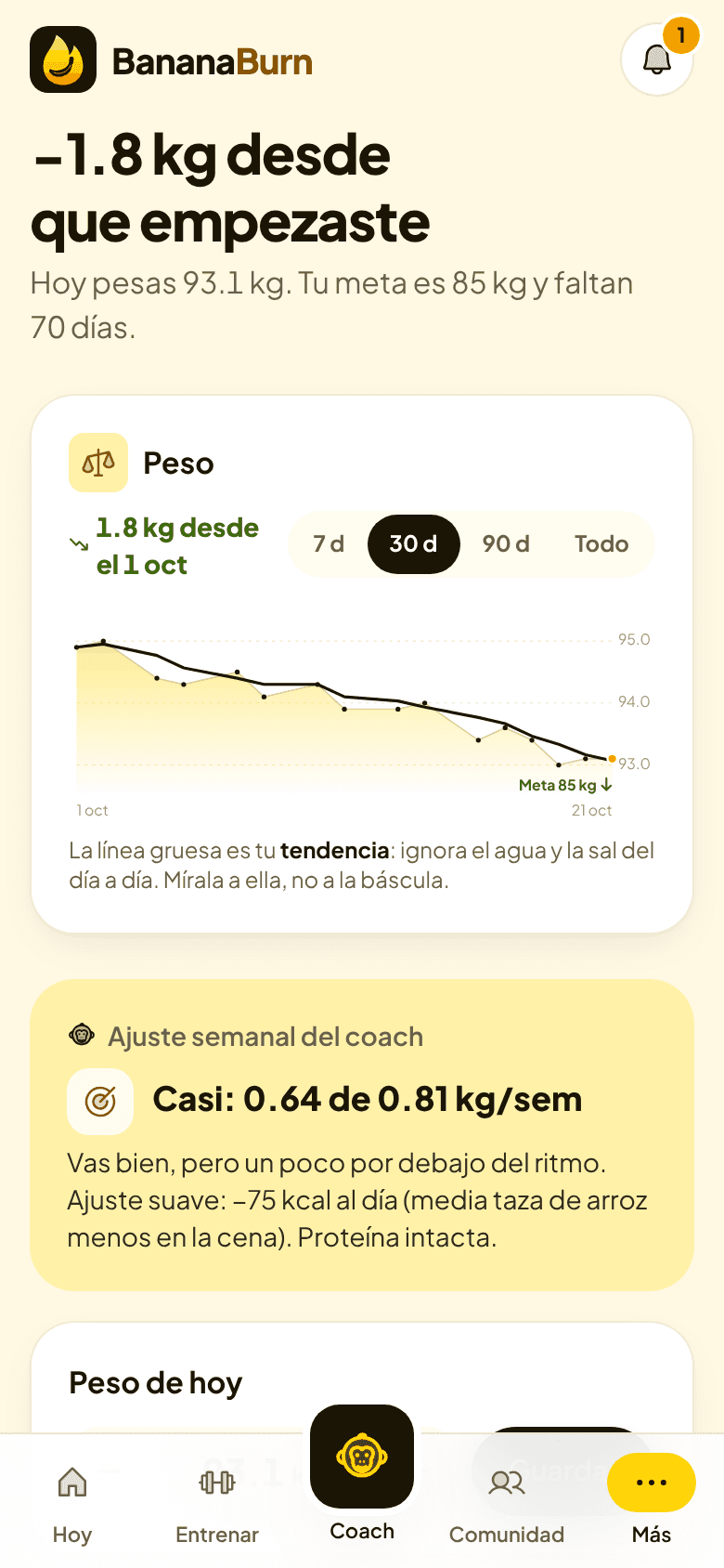 Paso 3: Registra y deja que se ajuste solo